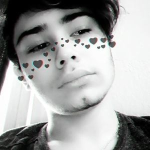 Meet your Posher, Dante